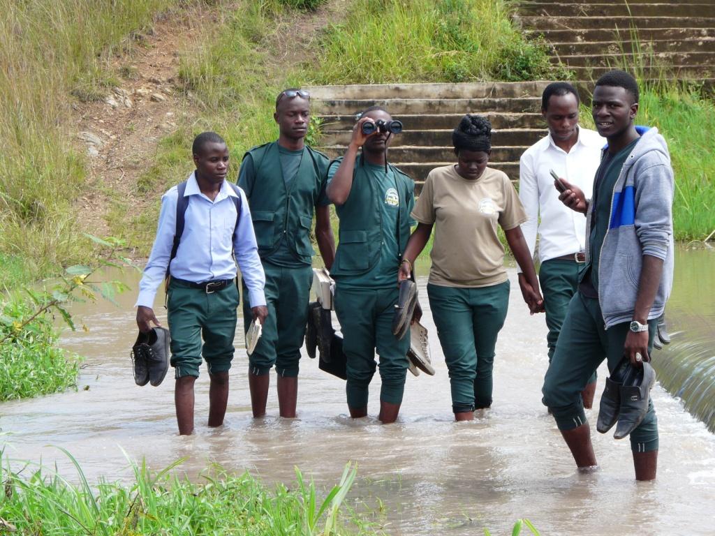 lorem ipsum dolor sit